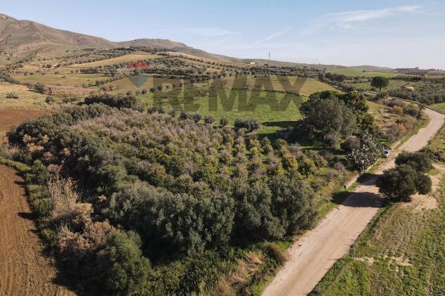 Terreno in vendita a Paternò - Foto 3