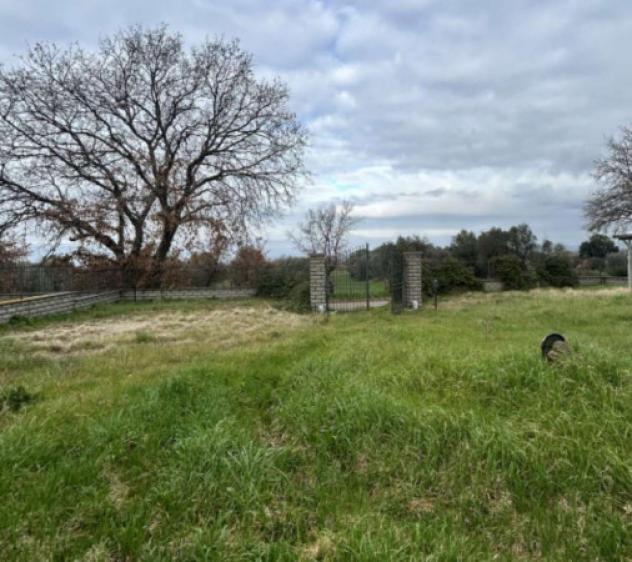 Immobile in asta di 454 m² in vendita a Viterbo - Foto 10