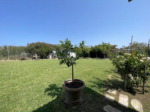 Seminativo in vendita a Orbetello - Foto 18