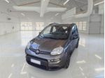 FIAT Panda 1.0 FireFly S&S Hybrid City Life rif. 24117952