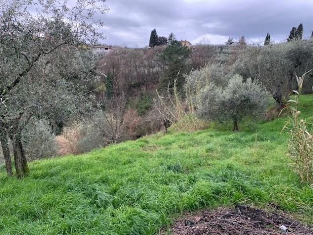 Terreno agricolo in vendita a Colle - Buggiano 5500 mq Rif: 1311347 - Foto 7