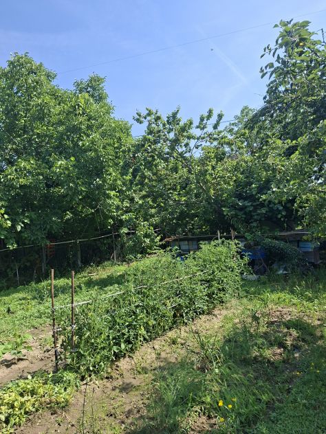Terreno agricolo 1000mq Sud Milano