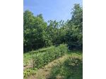 Terreno agricolo 1000mq Sud Milano