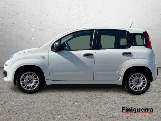 FIAT Panda 1.0 70cv S&S Hybrid - Foto 6