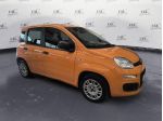 FIAT Panda Panda 1.2 Easy (PREZZO REALE)
