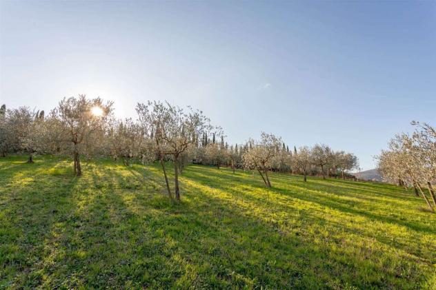 Terreno agricolo in vendita a Luni 51 mq  Rif: 1405758