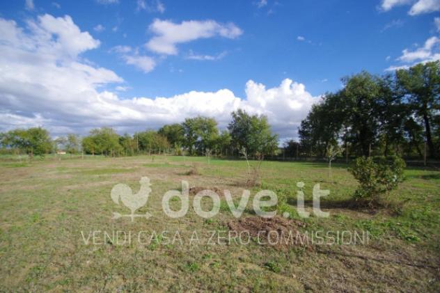 Rustico / Casale di 190 m² con 4 locali in vendita a Montepulciano - Foto 10