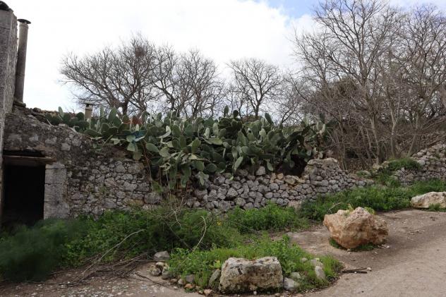 Cascina/Casale in vendita a Ragusa, San Giacomo - Foto 8