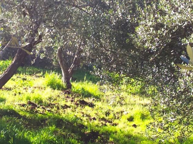 SASSARI LOCALITA' LA LANDRIGGA - Foto 4