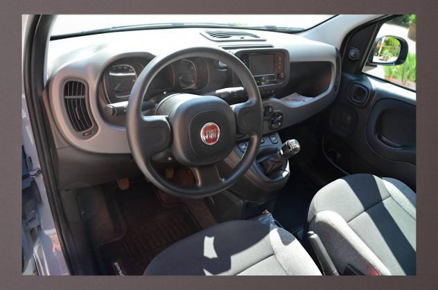 Fiat Panda III Panda III 2023- 1.0 firefly hybrid City Life 70cv - Foto 10