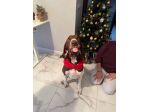 Pulizie.generali