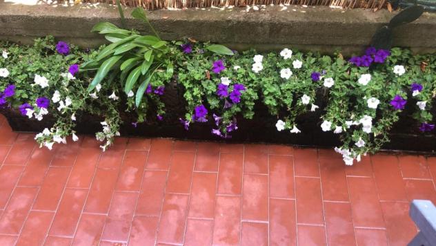 Appartamento in vendita a Carrara 170 mq Rif: 1392825 - Foto 3