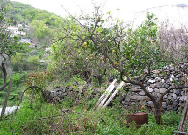 Immobile in asta di 1770 m² in vendita a Itala - Foto 7