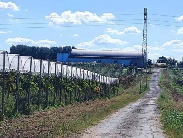 Immobile in asta di 23925 m² in vendita a Licodia Eubea - Foto 6