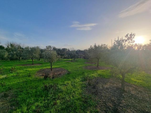 Terreno agricolo in vendita a Cerretti - Santa Maria a Monte 4730 mq Rif: 1252020