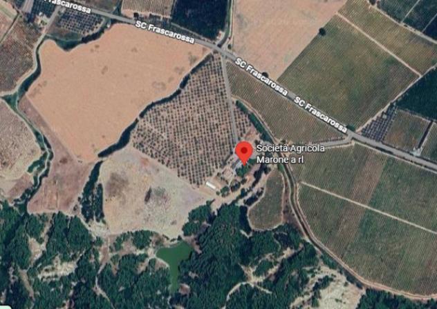 Immobile in asta di 49996 m² in vendita a Tursi - Foto 10