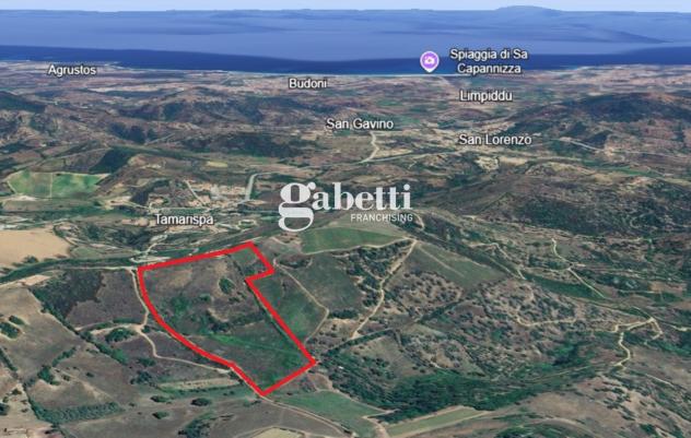 Terreno Residenziale - Budoni . Rif.: Cod. rif 3261193VRG - Foto 15