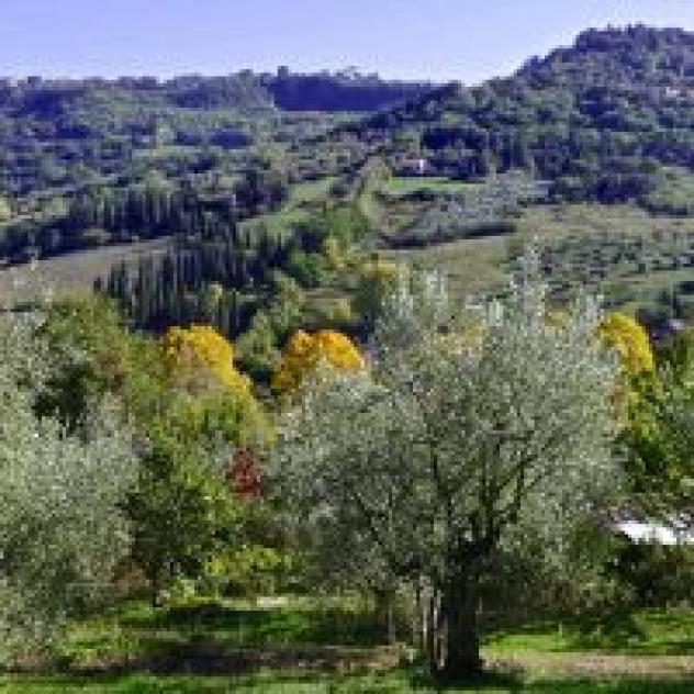 B&B CasaSelita - Foto 4