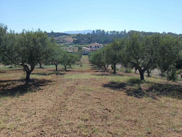 Seminativo in vendita a Balestrate - Foto 3