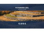 Immobile in asta di 70 m² in vendita a Putignano