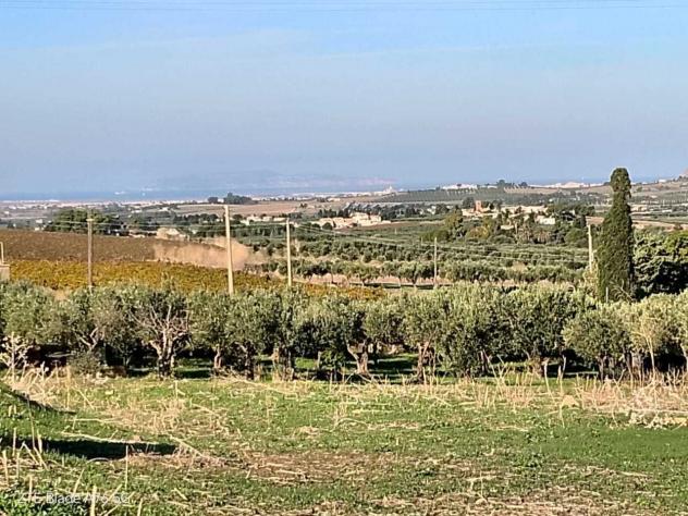 Uliveto in vendita a Valderice - Foto 2