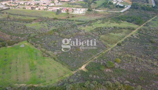 Terreno Agricolo - Budoni . Rif.: Cod. rif 3204979VCG - Foto 8