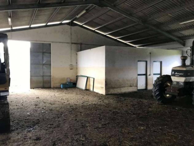 Immobile in asta di 1700 m² in vendita a Nulvi - Foto 14