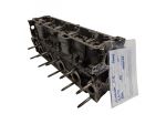 TESTATA CITROEN C3 1° Serie 200CN 8HX Diesel 1398 (0205)