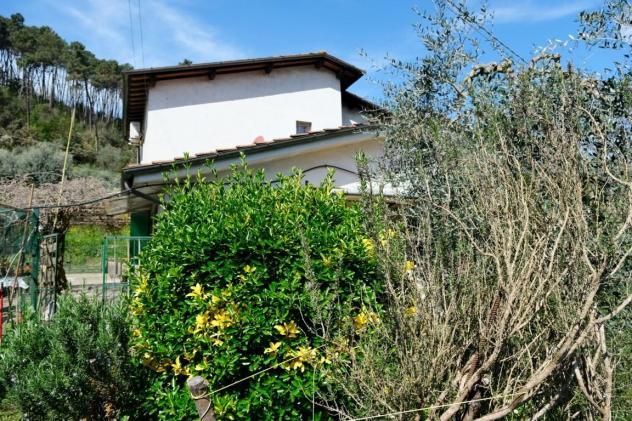 Casa singola in vendita a Coselli - Capannori 210 mq Rif: 1304900 - Foto 9