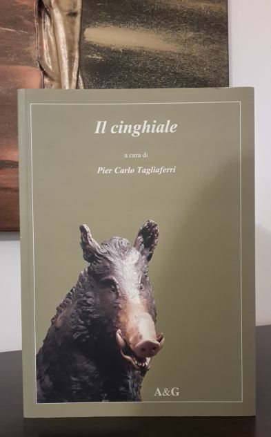 Il cinghiale, Pier Carlo Tagliaferri, A&amp;G Maggio 2004. - Foto 2