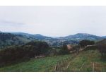 Terreno agricolo nord Sardegna - Gallura