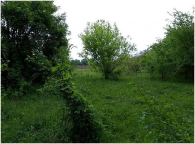Immobile in asta di 13200 m² in vendita a Cremona - Foto 7