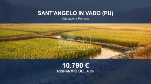Immobile in asta di 39014 m² in vendita a Sant'Angelo in Vado