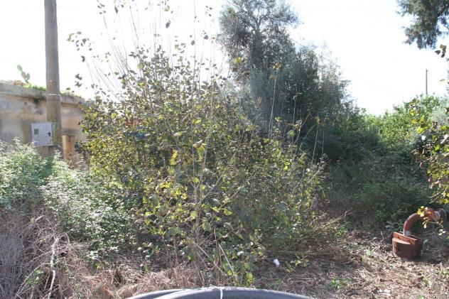 Terreno in vendita a Siracusa, Carrozziere - Foto 9