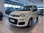 FIAT Panda 1.0 FireFly 70cv S&S Hybrid Pandina
