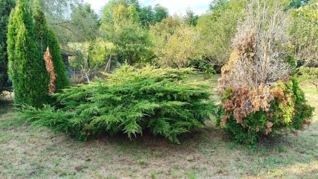 Terreno Agricolo - La Cassa . Rif.: 33421 - Foto 7