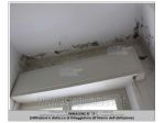 IMMOBILI-IMMOBILE RESIDENZIALE-Viale Avisio, 20, 47921 Rimini RN, Italia