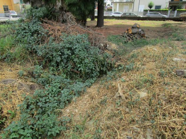 Terreno edif. residenziale in vendita a Santa Croce sull'Arno 450 mq Rif: 897108 - Foto 3