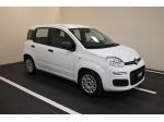 FIAT Panda 3ª serie Panda 1.0 FireFly S&S Hybrid