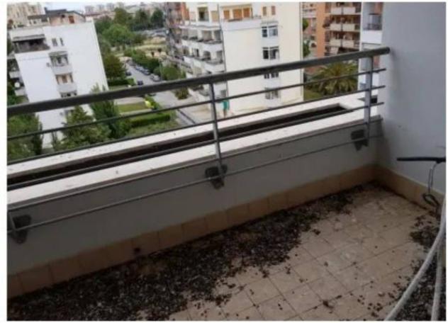 Immobile in asta di 58 m² in vendita a Pomezia - Foto 7