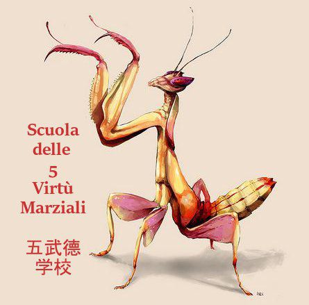 Corso di Kung fu e Qi Gong a Cittadella