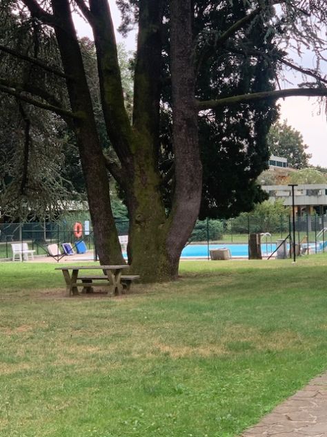 3726 miniappartamento Via Planis consegna OTTOBRE - Foto 7