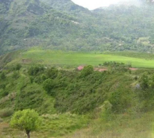 Immobile in asta di 19970 m² in vendita a Martirano Lombardo - Foto 2
