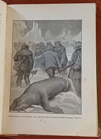 I naufraghi dello Spitzberg, E. Salgari, Ed. Sonzogno 1929. - Foto 5