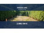 Immobile in asta di 32797 m² in vendita a Arezzo