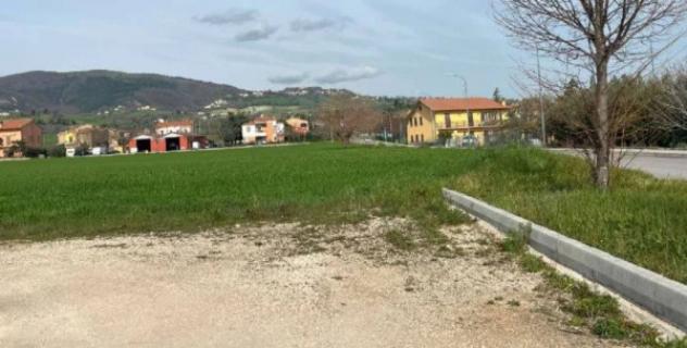 Immobile in asta di 2440 m² in vendita a Cingoli - Foto 5