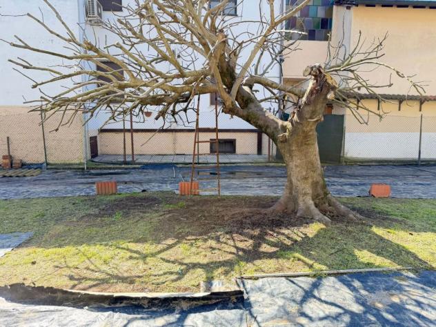 Terreno edificabile in vendita a Miradolo Terme - Foto 16
