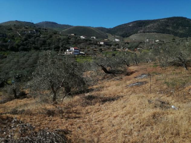 Agricolo in SP126 - Foto 5