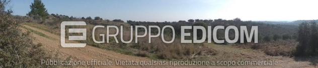Terreno di 46370 mq in vendita a Montescaglioso - Rif. 4555042 - Foto 13