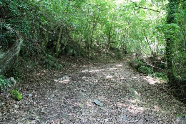 Bagnoregio - Vendesi casale al grezzo con annesso corte - Foto 7